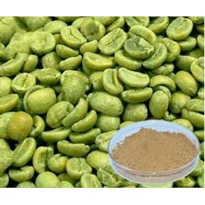 Green coffee bean Extract