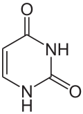 Uracil