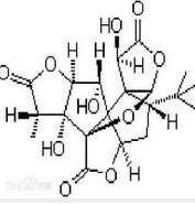 Ginkgolide B