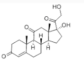 Cortisone