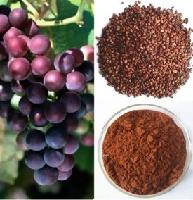 Grape seeds Extract