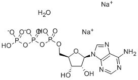 Adenosine5-(tetrahydrogen triphosphate), disodium salt, hydrate (8CI,9CI)