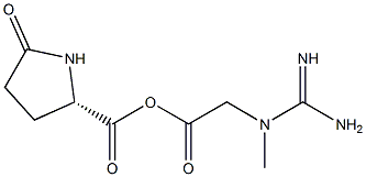 Creatine Pyroglutamate