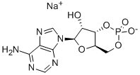 Adenosine, cyclic3,5-(hydrogen phosphate), monosodium salt (9CI)