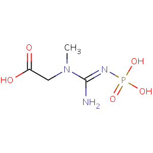 Creatine Phosphate