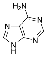 Adenine