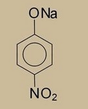 Lapatinib ditosylate