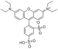 Sulforhodamine B