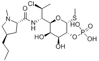 Clindamycin phosphate