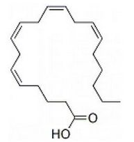 Arachidonic acid