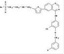 Lapatinib ditosylate