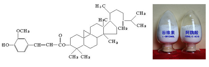 Oryzanol