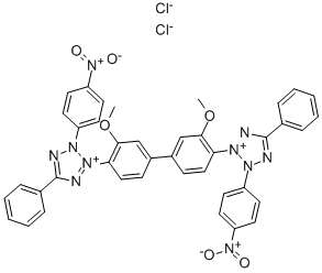 Nitrotetrazolium blue chloride