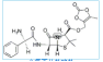 Lenampicillin