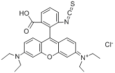 Rhodamine b isothiocyanate