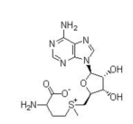 S-Adenosyl-L-methionine