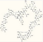 Calcitonin