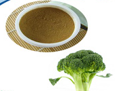 Broccoli Seed Extract